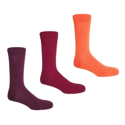 Peper Harow - Made In England Three Pack Essential Men's Socks - Sunset In Eed/orange/red