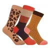 Peper Harow - Made In England Women's Socks Bundle - Brown In Brown