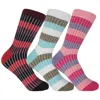 Peper Harow - Made In England Women's Socks Bundle – Chord