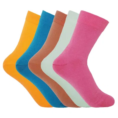 Peper Harow - Made In England Women's Socks Bundle – Classic In Multi