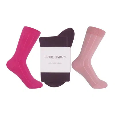 Peper Harow - Made In England Women's Three Pairs Cashmere & Wool Boot Socks – Pink, Hot Pink & Purple