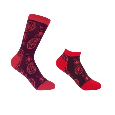 Peper Harow - Made In England Red Paisley Burgundy Luxury Crew & Trainer Women's Socks Bundle