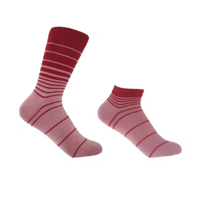 Peper Harow - Made In England Red Retro Stripe Musk Luxury Crew & Trainer Women's Socks Bundle