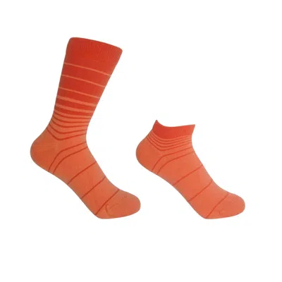 Peper Harow - Made In England Retro Stripe Orange Luxury Crew & Trainer Women's Socks Bundle