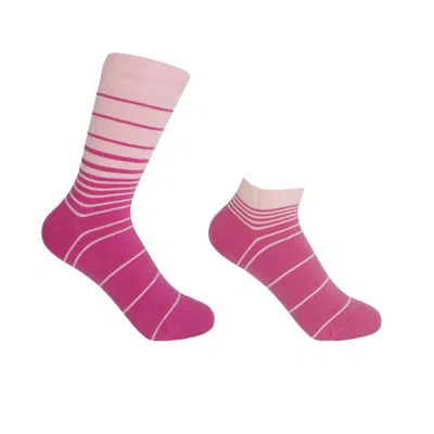 Peper Harow - Made In England Retro Stripe Pink Luxury Crew & Trainer Women's Socks Bundle