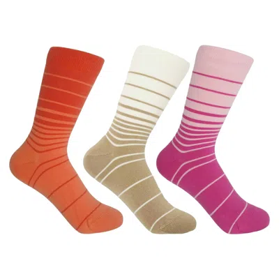 Peper Harow - Made In England Retro Stripe Women's Socks – Bundle In Multi
