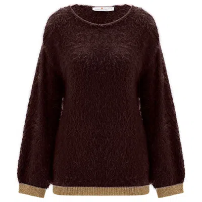 Peraluna Women's De Ville Fluffy Pullover Glitter Sweater - Brown