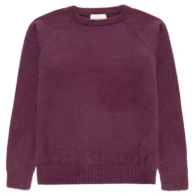 Peraluna Women's Pink / Purple Hazel O-neck Puffy Pullover In Mauve In Pink/purple