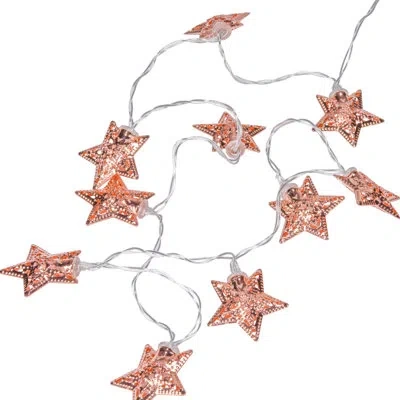 Perfect Holiday Indoor Battery Powered 10 - Bulb Novelty String Light In White