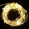 Perfect Holiday Timer 60 Led String Lights