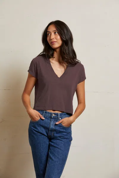 Perfect White Tee Alanis In Animal Print