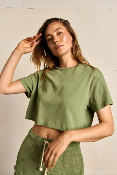 Perfect White Tee Courtney In Multi