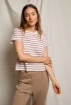 Perfectwhitetee Everett Stripe In Brown