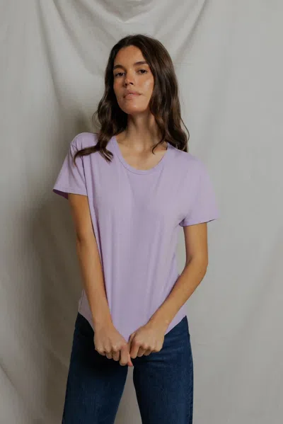 Perfectwhitetee Harley In Pink