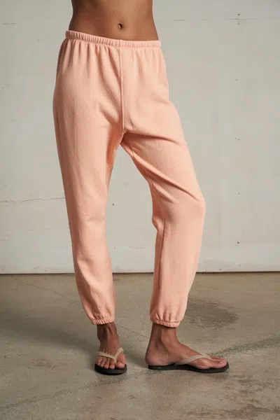 Perfect White Tee Johnny In Multi