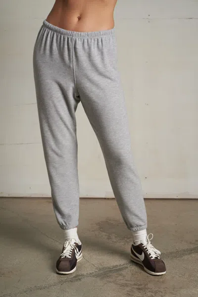Perfectwhitetee Mare In Gray