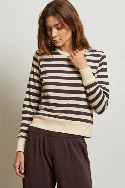 Perfect White Tee Stef Stripe In Brown