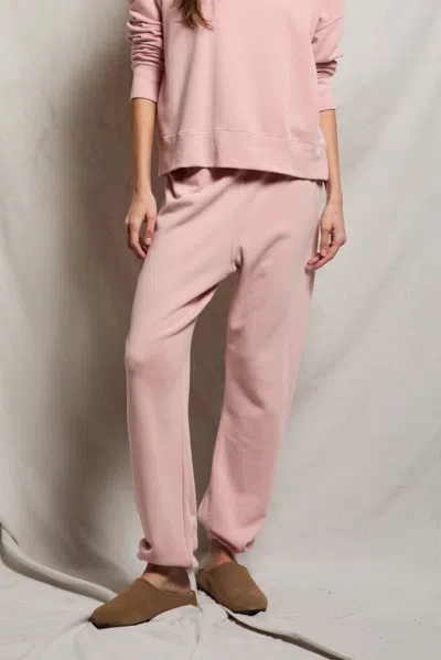 Perfect White Tee Stevie In Brown