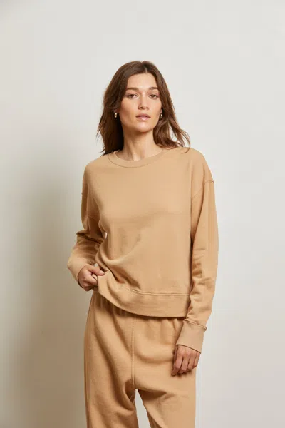 Perfect White Tee Tyler In Brown