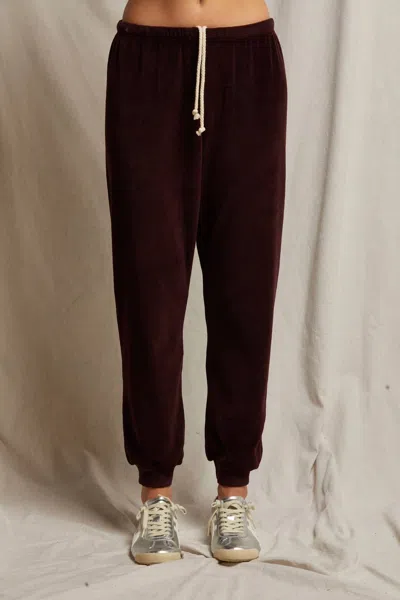 Perfectwhitetee Bailey Velour Jogger Pants In Blackberry In Multi