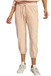 PERFECTWHITETEE GOGO JOGGERPANTS IN PEACHES & CREAM