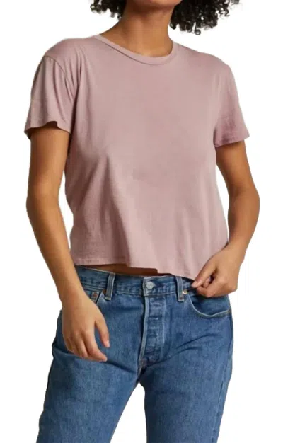 Perfectwhitetee Harley Short Sleeve Boxy Crew Tee In Mauve In Multi