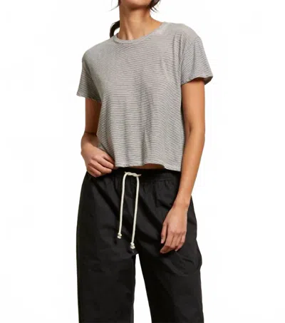 Perfectwhitetee Harley Stripe Tee In Ivory Black Stripe In Gray