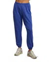 Perfectwhitetee Johnny French Terry Sweatpants In Violet Blue In Multi