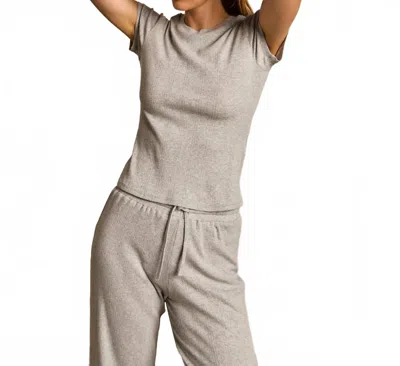 Perfectwhitetee Katy Pointelle Baby Tee In Heather Grey In Gray