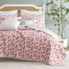 Peri Home Tomayto Tomahto Quilt Set, Twin In Multi