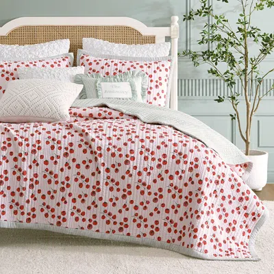 Peri Home Tomayto Tomahto Quilt Set, Twin In Multi