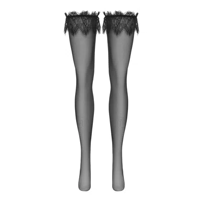 Perilla Women's Grisella Stockings Black
