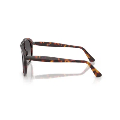 Persol 0649ne Sole24/m3 In Multi