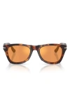 Persol 51mm Phantos Sunglasses In Metallic