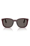 Persol 52mm Polarized Pillow Sunglasses In Burgundy