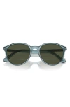 Persol 53mm Phantos Sunglasses In Blue