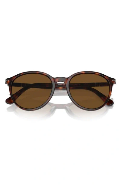 Persol 53mm Polarized Phantos Sunglasses In Havana