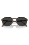 Persol 53mm Polarized Pillow Sunglasses In Striped Brown