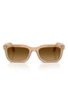 Persol 53mm Rectangular Sunglasses In Brown