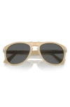 Persol 54mm Pilot Sunglasses In Opal Beige