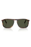 Persol 54mm Square Sunglasses In Brown
