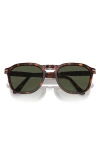 Persol 54mm Square Sunglasses In Havana/ Green