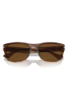 Persol 55mm Polarized Pillow Sunglasses In Brown