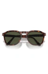 Persol 55mm Polarized Square Sunglasses In Havana