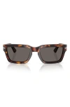 Persol Sunglasses In Havana
