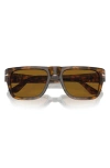 Persol 55mm Square Sunglasses In Brown Havana