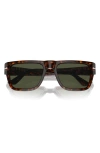 Persol 55mm Square Sunglasses In Havana
