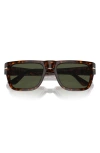 Persol 57mm Round Sunglasses In Havana