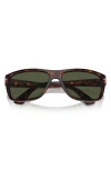 Persol 63mm Oversize Rectangular Sunglasses In Havana