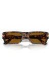 Persol Adrien 55mm Rectangular Sunglasses In Brown Havana